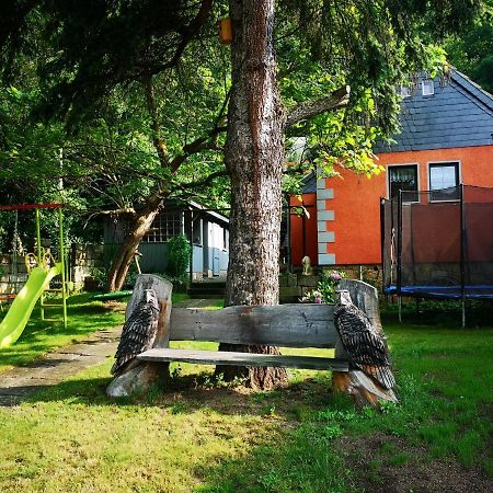 Ferienhaus Franz - An Der Elbe, Mit Grossem Garten Pirna Dış mekan fotoğraf