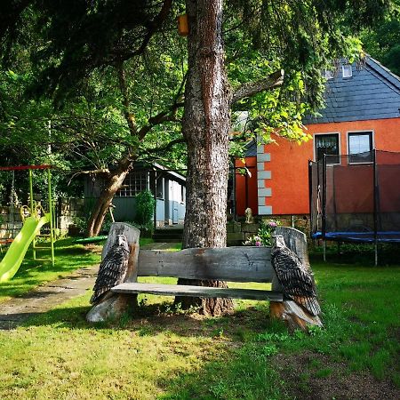 Ferienhaus Franz - An Der Elbe, Mit Grossem Garten Villa Pirna Dış mekan fotoğraf