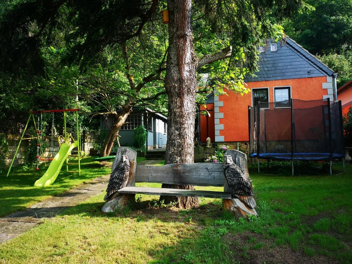 Ferienhaus Franz - An Der Elbe, Mit Grossem Garten Villa Pirna Dış mekan fotoğraf