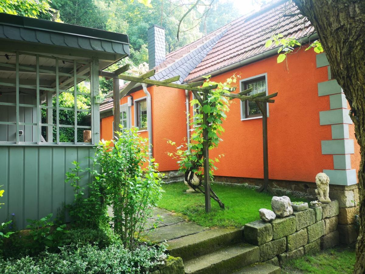 Ferienhaus Franz - An Der Elbe, Mit Grossem Garten Pirna Dış mekan fotoğraf