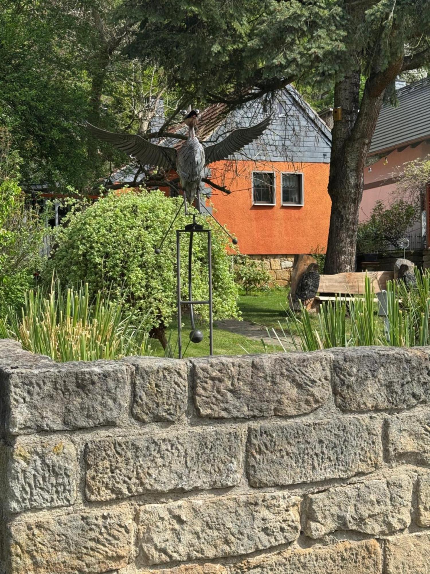 Ferienhaus Franz - An Der Elbe, Mit Grossem Garten Pirna Dış mekan fotoğraf
