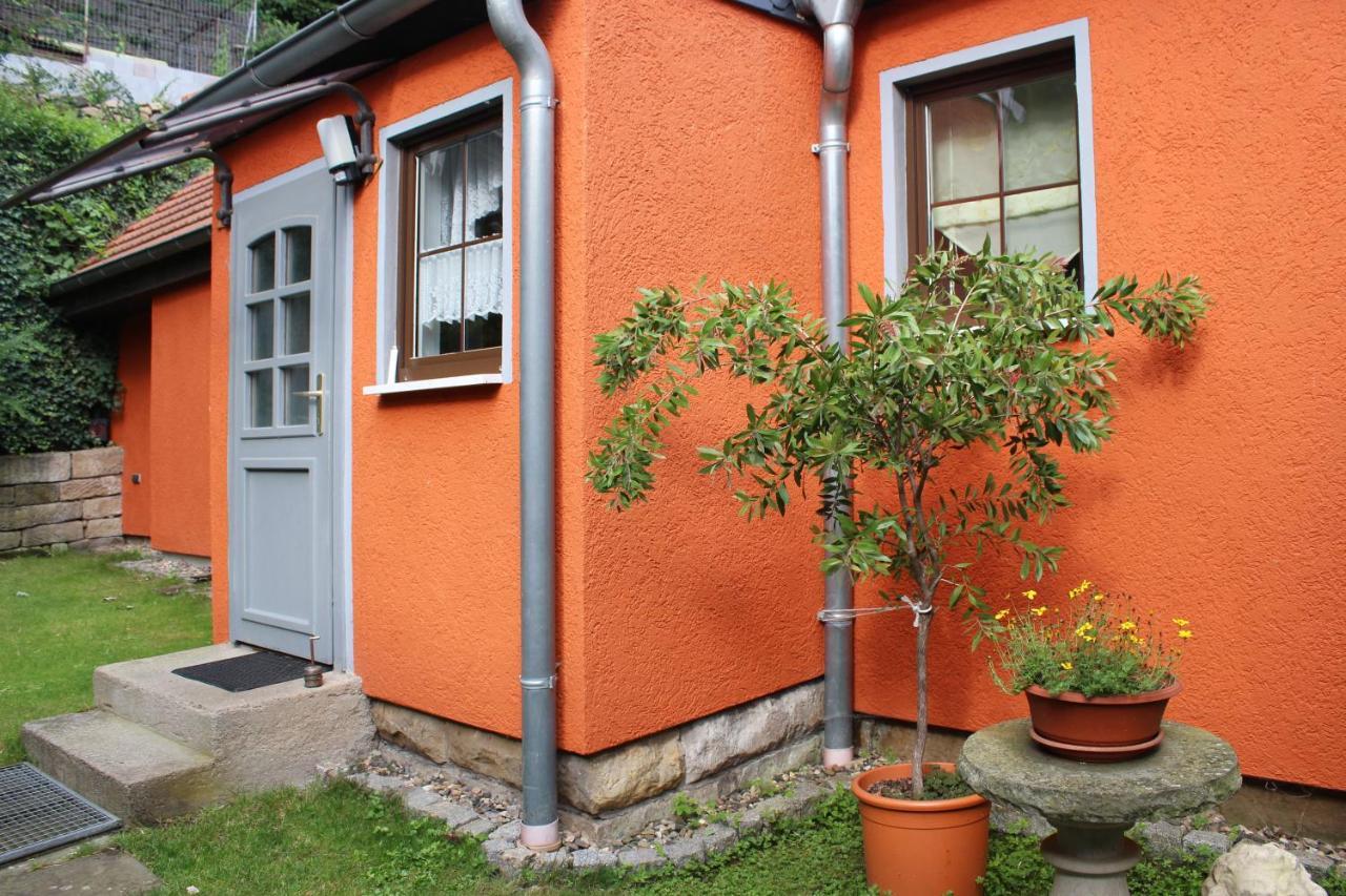 Ferienhaus Franz - An Der Elbe, Mit Grossem Garten Pirna Dış mekan fotoğraf