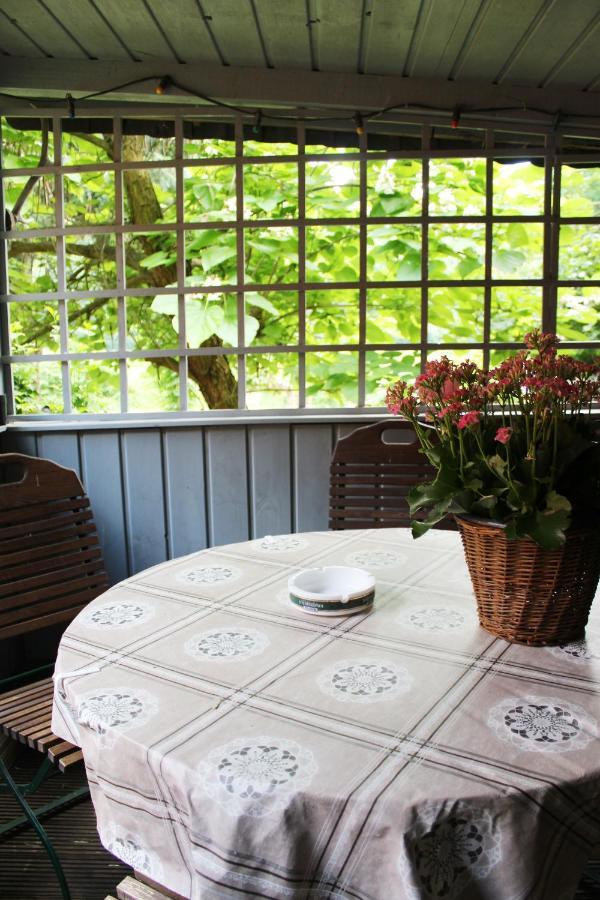 Ferienhaus Franz - An Der Elbe, Mit Grossem Garten Pirna Dış mekan fotoğraf
